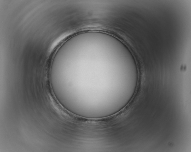 X0000110731458200906121259
