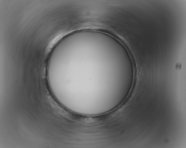 X0000110731459200906121259