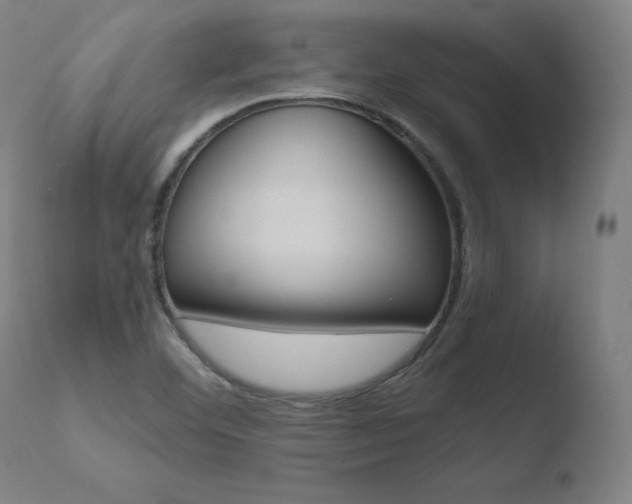 X0000110731460200906121259