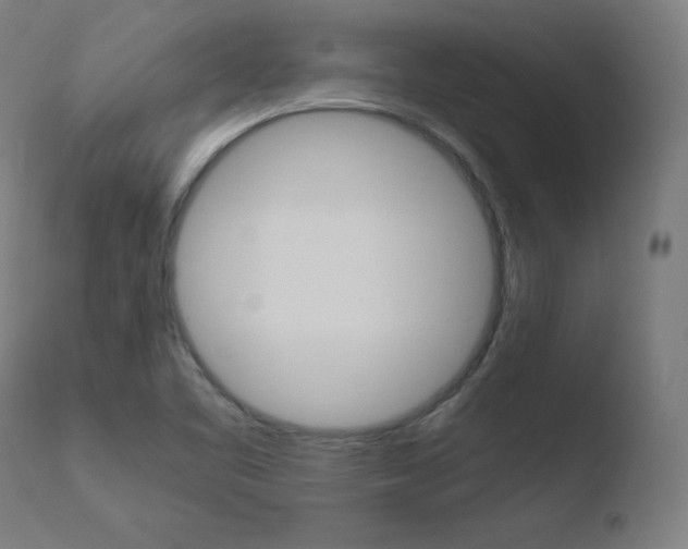 X0000110731461200906121259