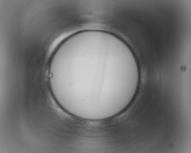 X0000110731462200906121259