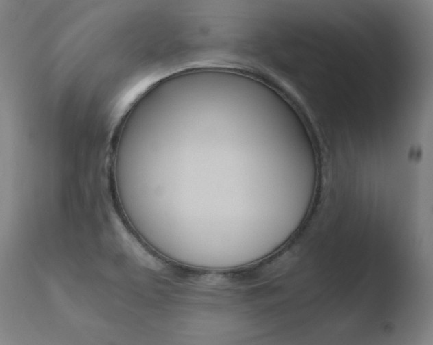 X0000110731463200906121259