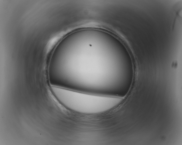 X0000110731464200906121259