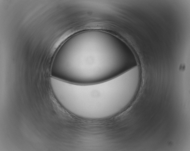 X0000110731465200906121259