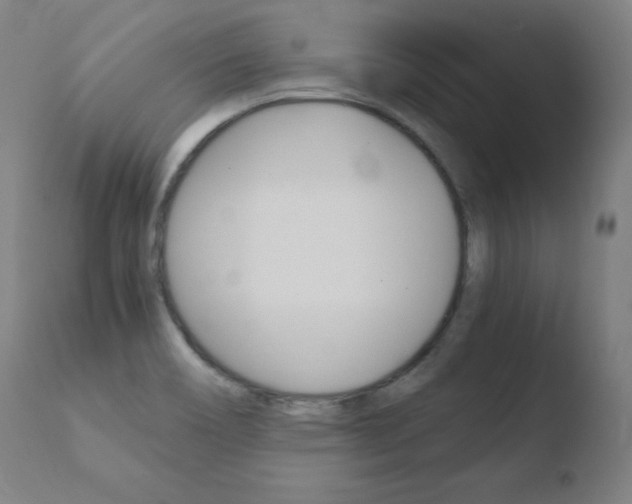 X0000110731466200906121259