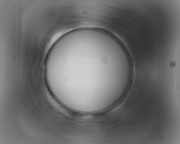 X0000110731467200906121259