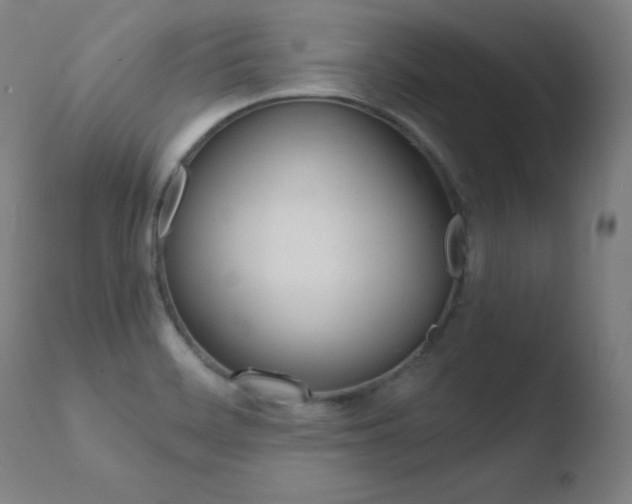 X0000110731468200906121259