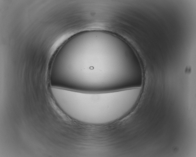 X0000110731469200906121259