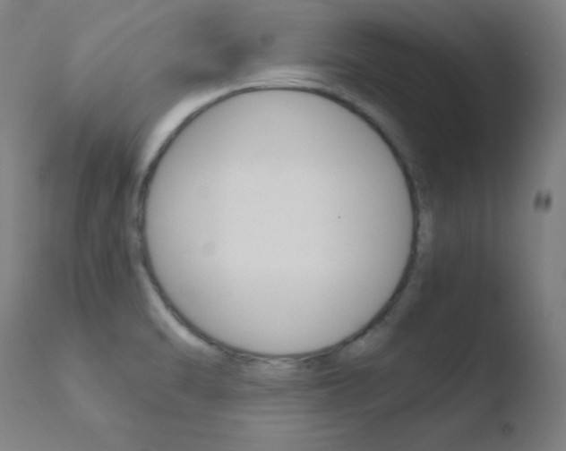 X0000110731470200906121259