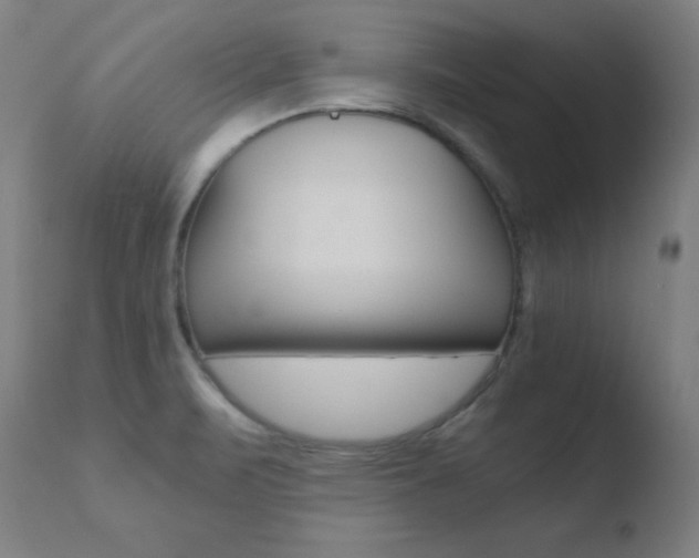 X0000110731471200906121259