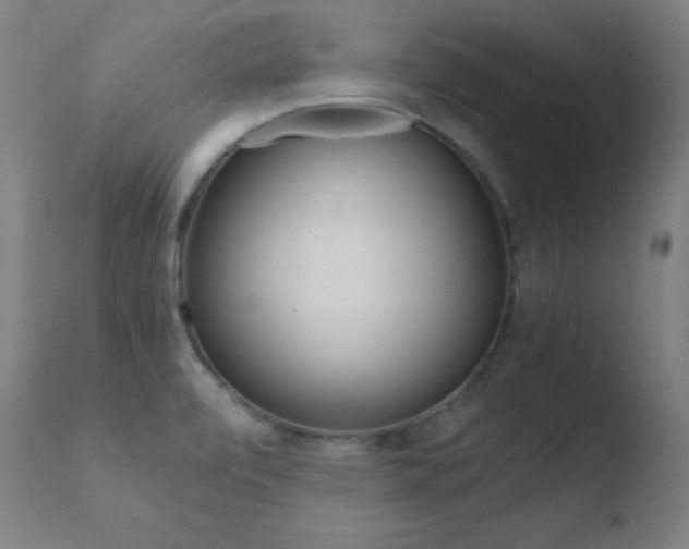 X0000110731472200906121259