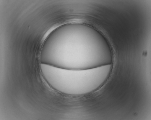 X0000110731473200906121259