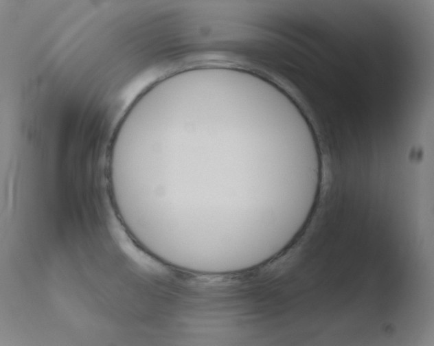 X0000110731474200906121259