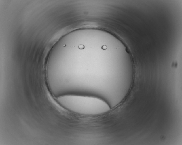 X0000110731475200906121259