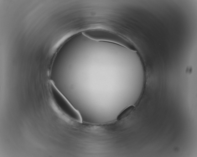 X0000110731476200906121259