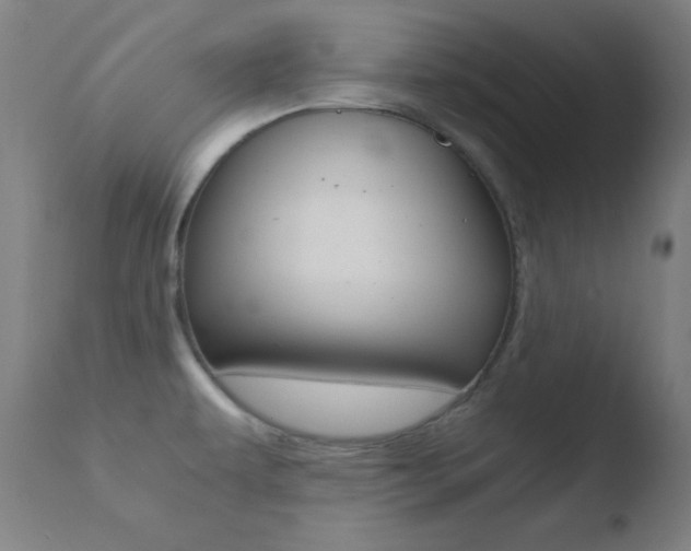 X0000110731479200906121259