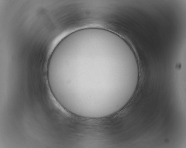 X0000110731480200906121259
