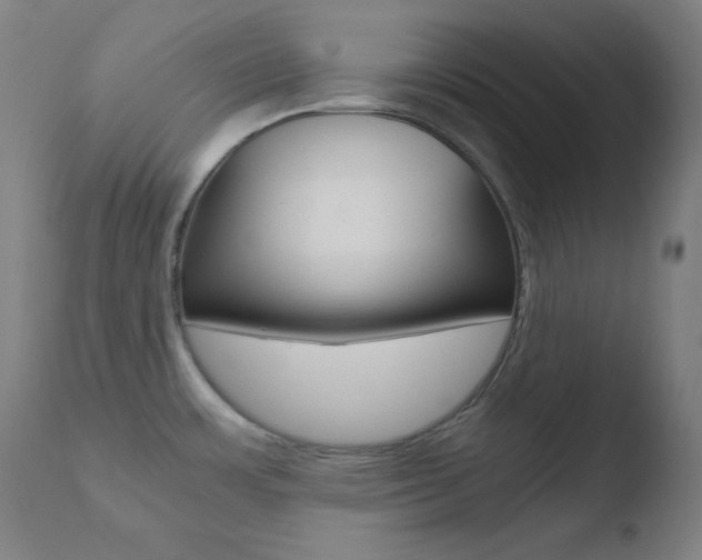 X0000110731483200906121259