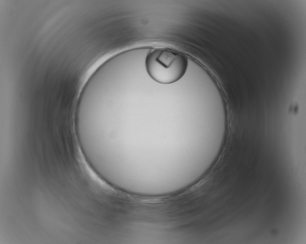 X0000110731484200906121259