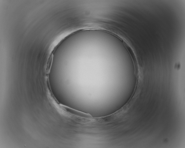 X0000110731485200906121259