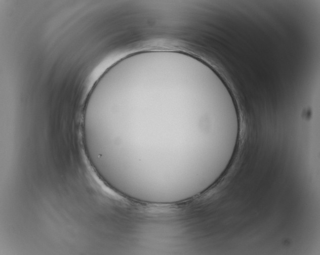X0000110731486200906121259
