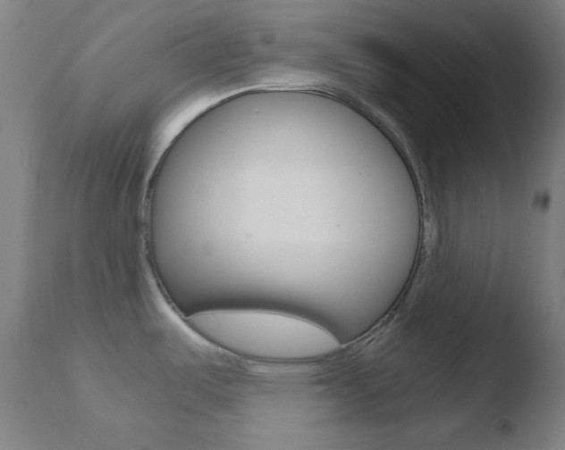 X0000110731487200906121259