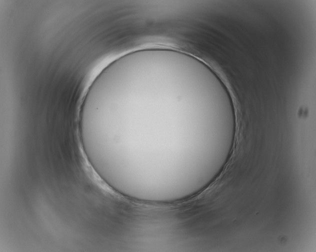 X0000110731488200906121259