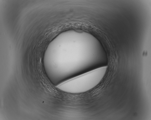 X0000110731489200906121258