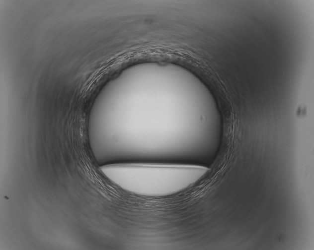 X0000110731490200906121258