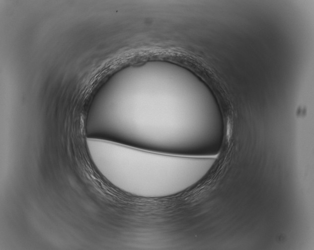 X0000110731492200906121258