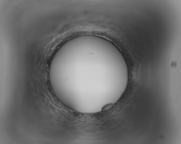 X0000110731493200906121258