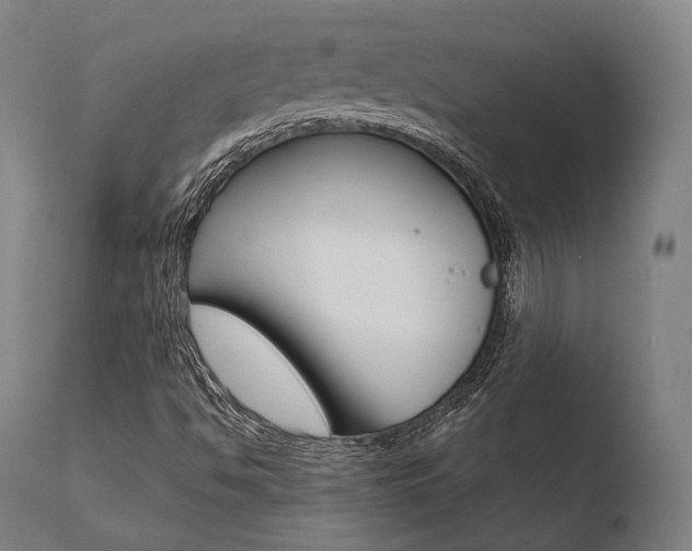 X0000110731494200906121258