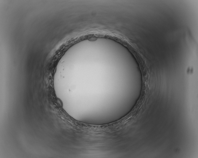 X0000110731495200906121258