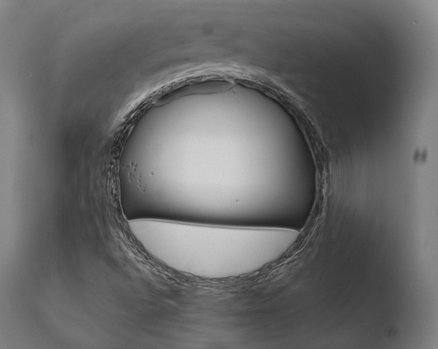X0000110731496200906121258