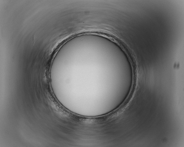 X0000110731497200906121258
