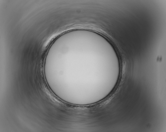 X0000110731498200906121258