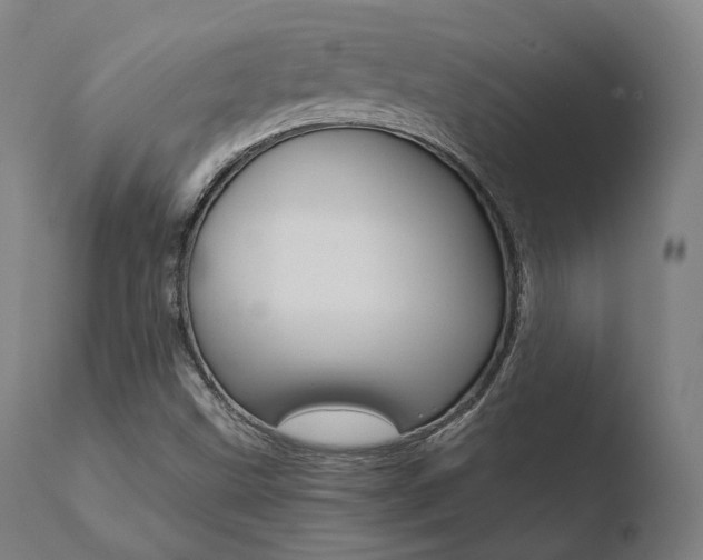 X0000110731499200906121258