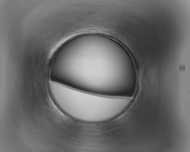 X0000110731500200906121258