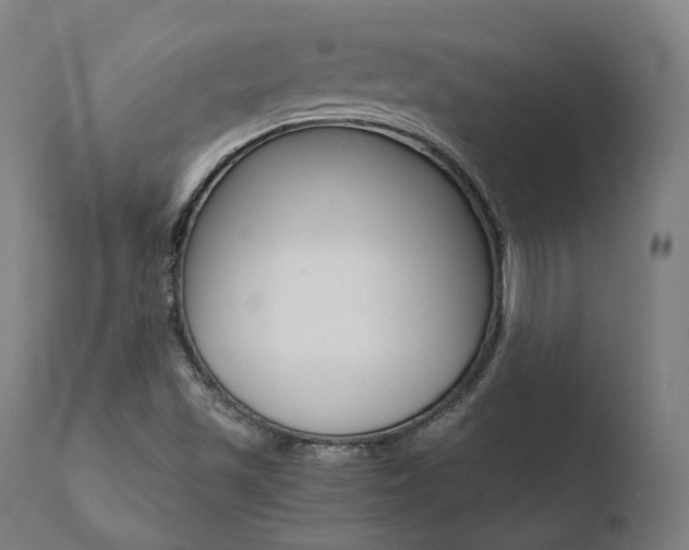 X0000110731501200906121258