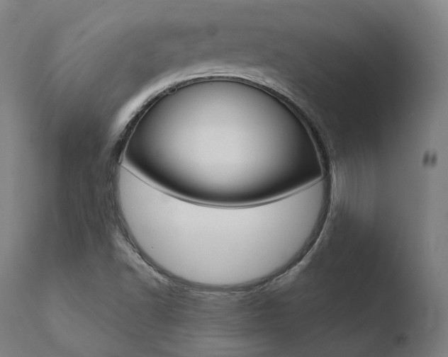 X0000110731502200906121258