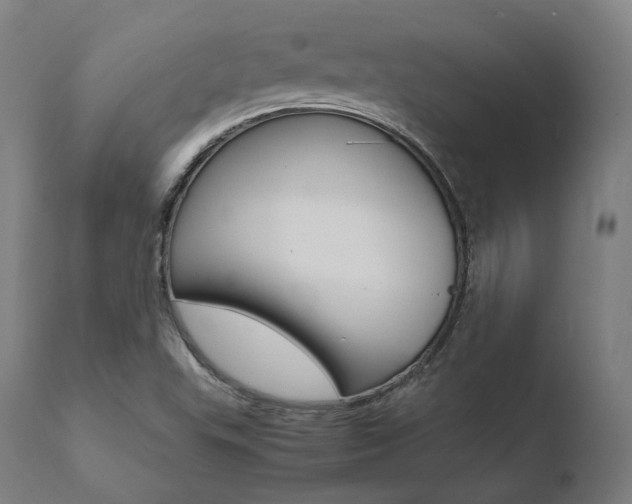 X0000110731503200906121258