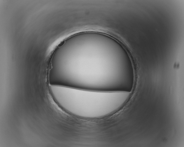 X0000110731504200906121258