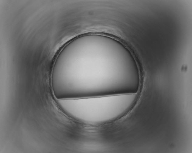 X0000110731505200906121258