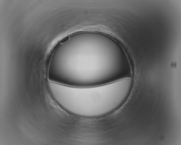 X0000110731506200906121258