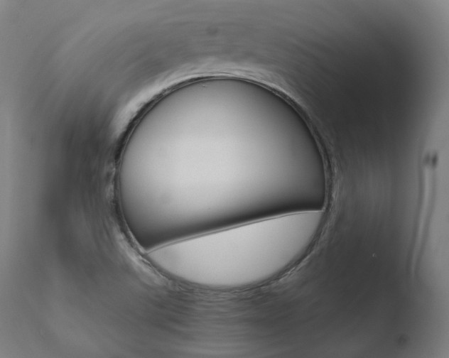 X0000110731507200906121258