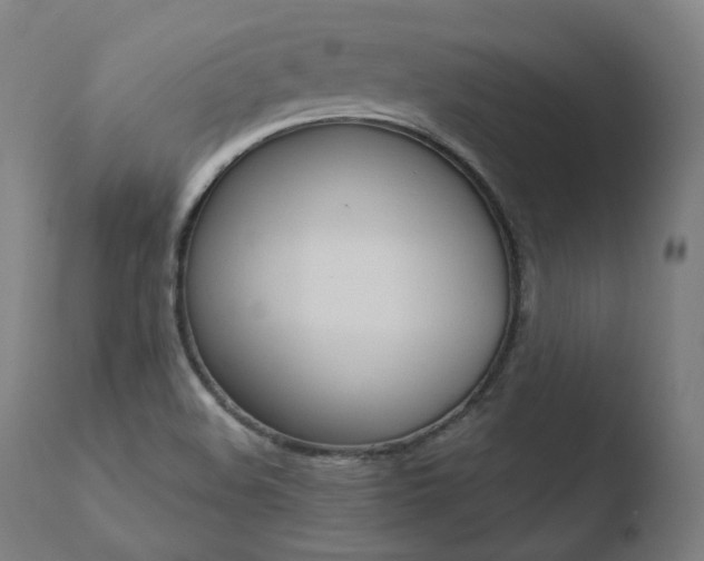 X0000110731508200906121258