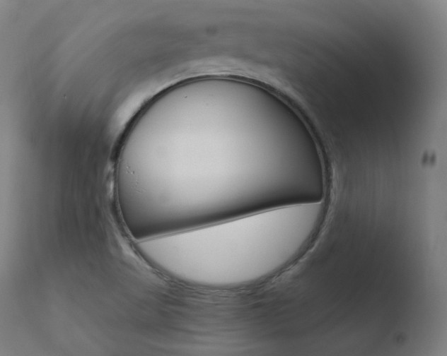X0000110731509200906121258