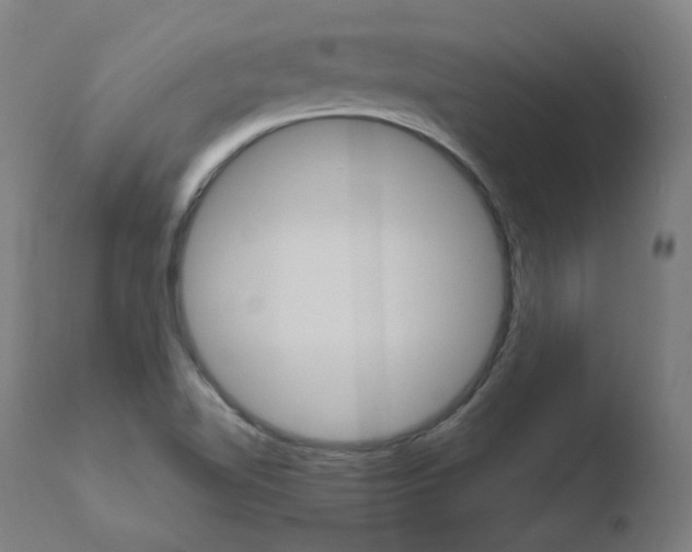 X0000110731510200906121258