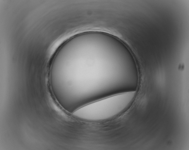 X0000110731511200906121258