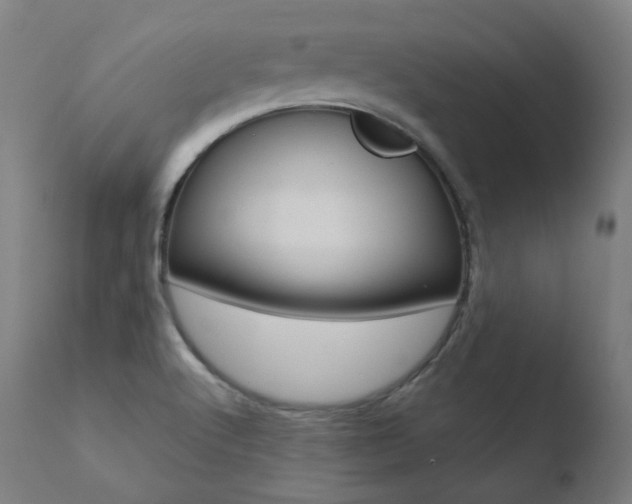 X0000110731512200906121258